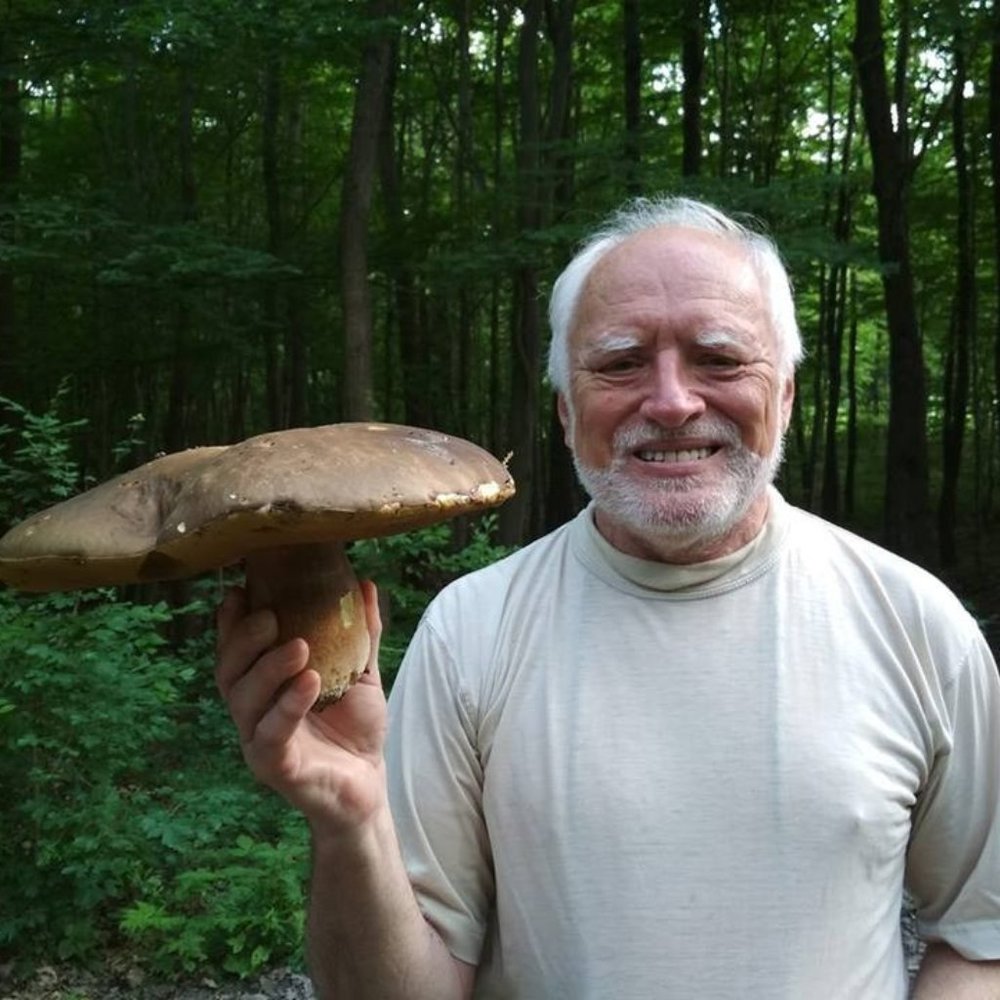 Meet your Posher, Kevin